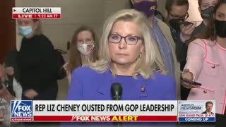 Bitter Liz Cheney Runs to Cameras to Whine About GOP