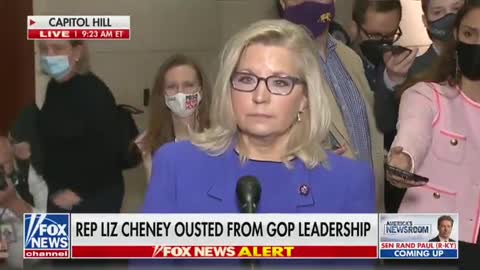 Bitter Liz Cheney Runs to Cameras to Whine About GOP