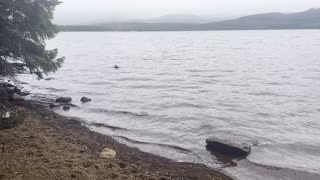 The Soothing Sound of Waves – Timothy Lake – Mount Hood – Oregon – 4K