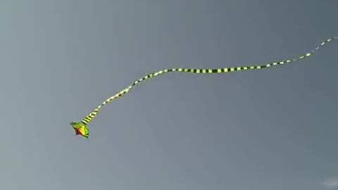 Flying snake Kite
