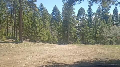 We found it! The perfect boondocking location in Cloudcroft, New mexico!