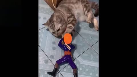 Cat and Kids Toys Cat Plays with Kids Toy Wow so Cute