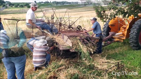 Central Washington Antique Farm Equipment Club: Wheat Binding
