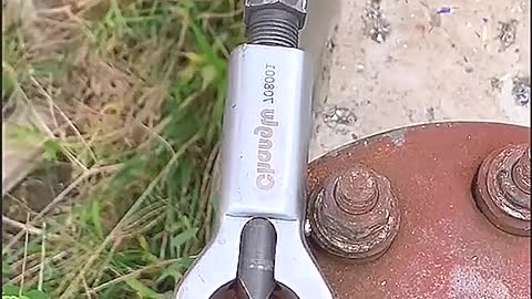 Nut remover for removing screws