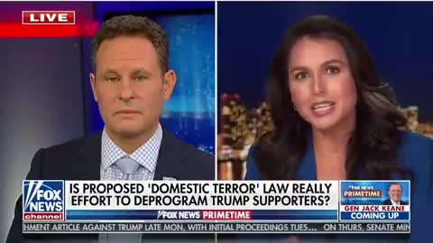"Undermining Our Constitutional Rights" - Tulsi Calls Out Her Fellow Democrats