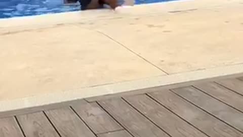 Kid tries to push friend into pool falls in with friend