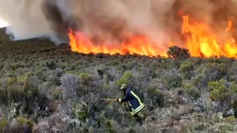 Authorities try to quell raging fire on Mount Kilimanjaro