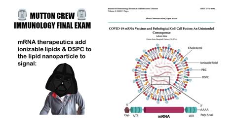 Lesson One Final Exam