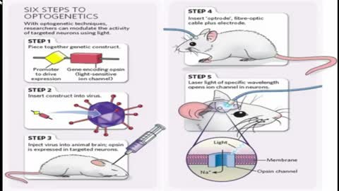 How Magnetogenetics Can Be Used To Control Behavior