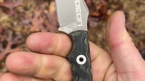 You Have to See This Insanely Nasty Fixed Blade Knife! 🤯 #shorts #youtubeshorts #shortsvideo