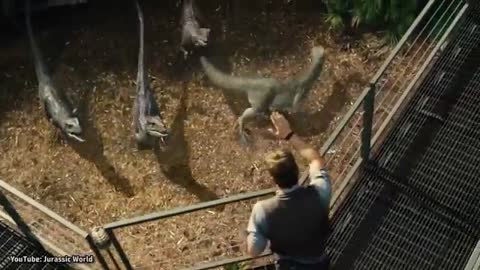 Jurassic World VelociCoaster Opening Date Announced