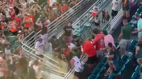 Falling cat saved with American flag at Miami football game