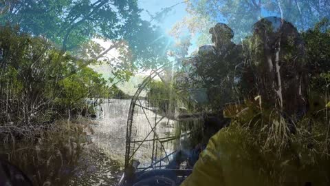 Airboat Ride in Everglade City January 2019