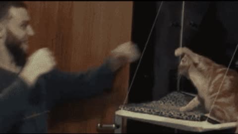 Gif video of man against cat