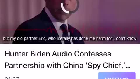Hunter Biden confess