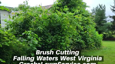 Brush Cutting Falling Waters West Virginia Landscape Contractor