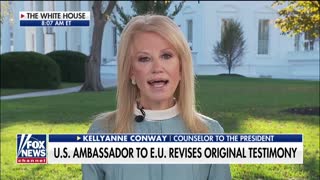 Kellyanne Conway On The Released Transcripts of 'RussiaGate'