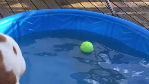 Pointer Pool fun