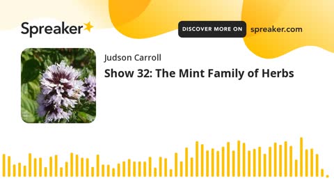 Show 32: The Mint Family of Herbs (part 3 of 3)