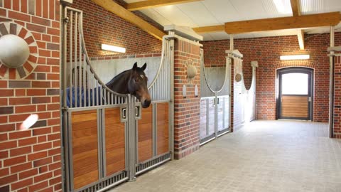 Next Generation Air Purification Equipment for Equine Use