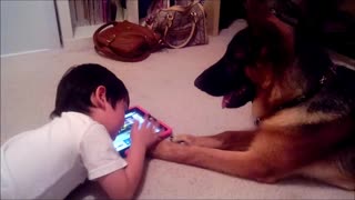 German Shepherd Puppy Dog learning how to play iPad