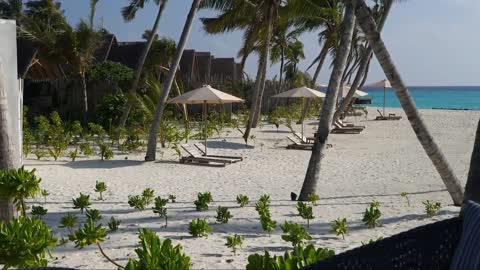 Fushifaru Maldives Is My Favourite Resort