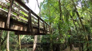 Visiting Hillsborough River State Park