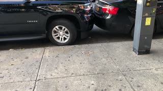 NYC Parking Drama