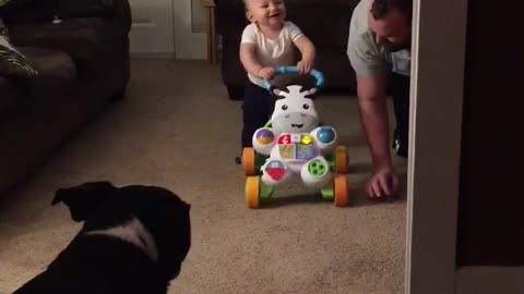 Baby walks for first time, finds it absolutely hysterical