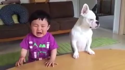 Most funny DOG AND KIDS Videos 2020