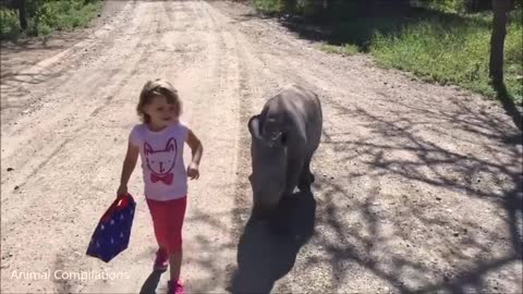 Baby Rhino busy Charging - FUNNIEST Compilation