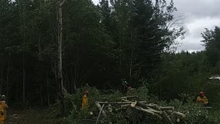 Firefighters working with chainsaw