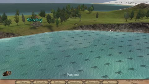 Grid of cows in Mount & Blade Warband