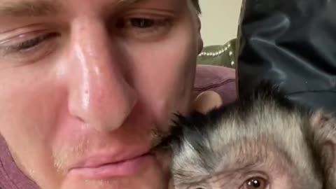Monkeys Pet