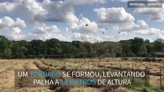 Tornado se forma em fazenda na Inglaterra