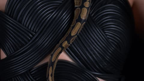 A women holding snake