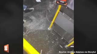 Wild! Passengers Scream as New York Bus Plows Through Floodwaters