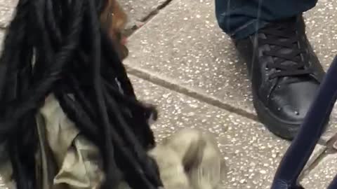 Tht how puppet BoB Marley shows his sexy moves out on the street :)