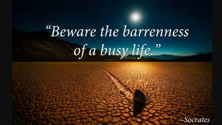 Soul of the Everyman - Busy and BARREN