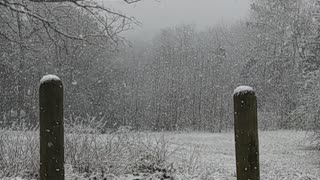 Snow in East Texas