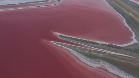 drone-view-of-a-pink-lake