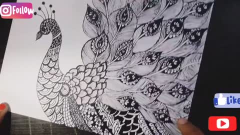 Draw Peacock MANDALA ART For Beginners||Step By Step ||ZENTANGLE ART|| Art Gallery
