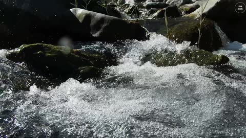 Flowing fresh water