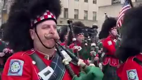 UppityFenian🐀@dog_is_for_life NYC St Patricks Day parade