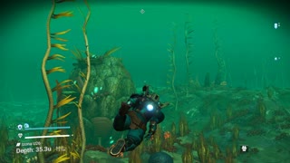 No Man's Sky Underwater on a Grassy Planet (Galaxy #256)