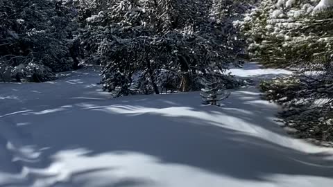 Snowboarding in Beautiful Vail Backcountry