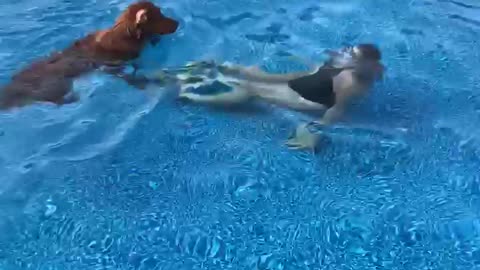 Pup turns into lifeguard when woman goes underwater