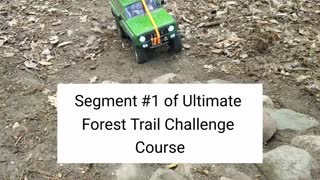 Ed's Scout & The Ultimate Forest Trail Challenge