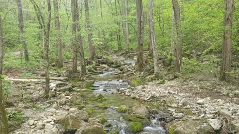 Elrod Falls Tennessee