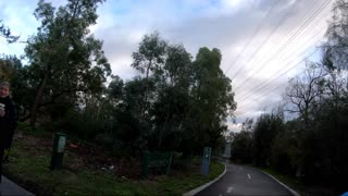 Pedestrian and Cyclist Have a Close Call